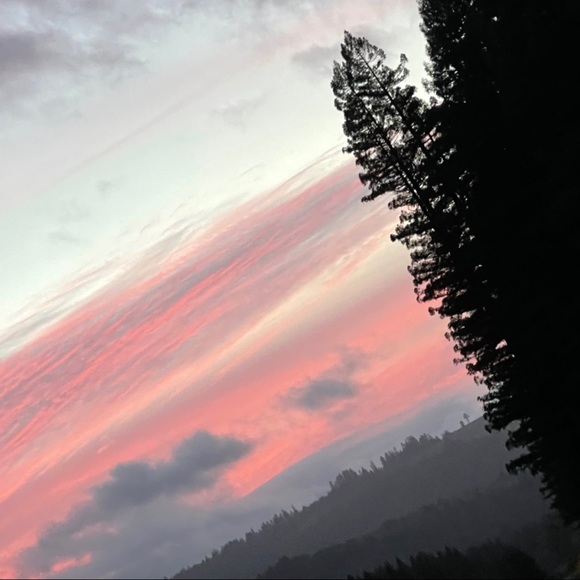 Meet your Posher, Madison - Picture 7 of 7